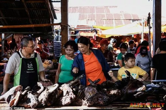 看完武汉海鲜市场，来印尼菜市场观光：可怕美食层出不穷！（组图） - 11
