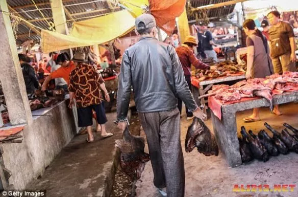 看完武汉海鲜市场，来印尼菜市场观光：可怕美食层出不穷！（组图） - 10