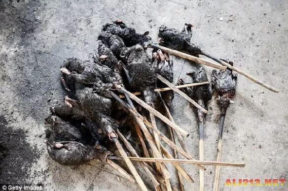 看完武汉海鲜市场，来印尼菜市场观光：可怕美食层出不穷！（组图） - 5