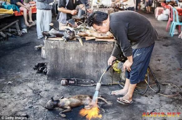看完武汉海鲜市场，来印尼菜市场观光：可怕美食层出不穷！（组图） - 2