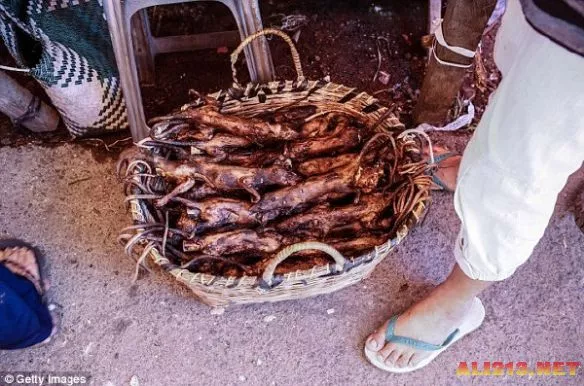 看完武汉海鲜市场，来印尼菜市场观光：可怕美食层出不穷！（组图） - 9