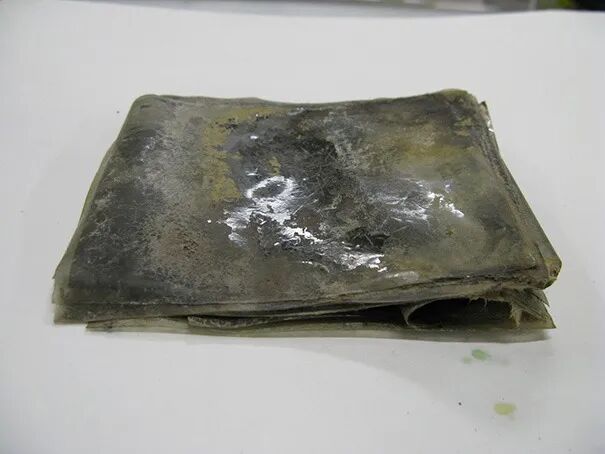 科一怎么胶卷南极挖出100多年前的老胶卷，科学家复原冲印后，记录的影像引起轰动_https://www.jmylbn.com_新闻资讯_第10张