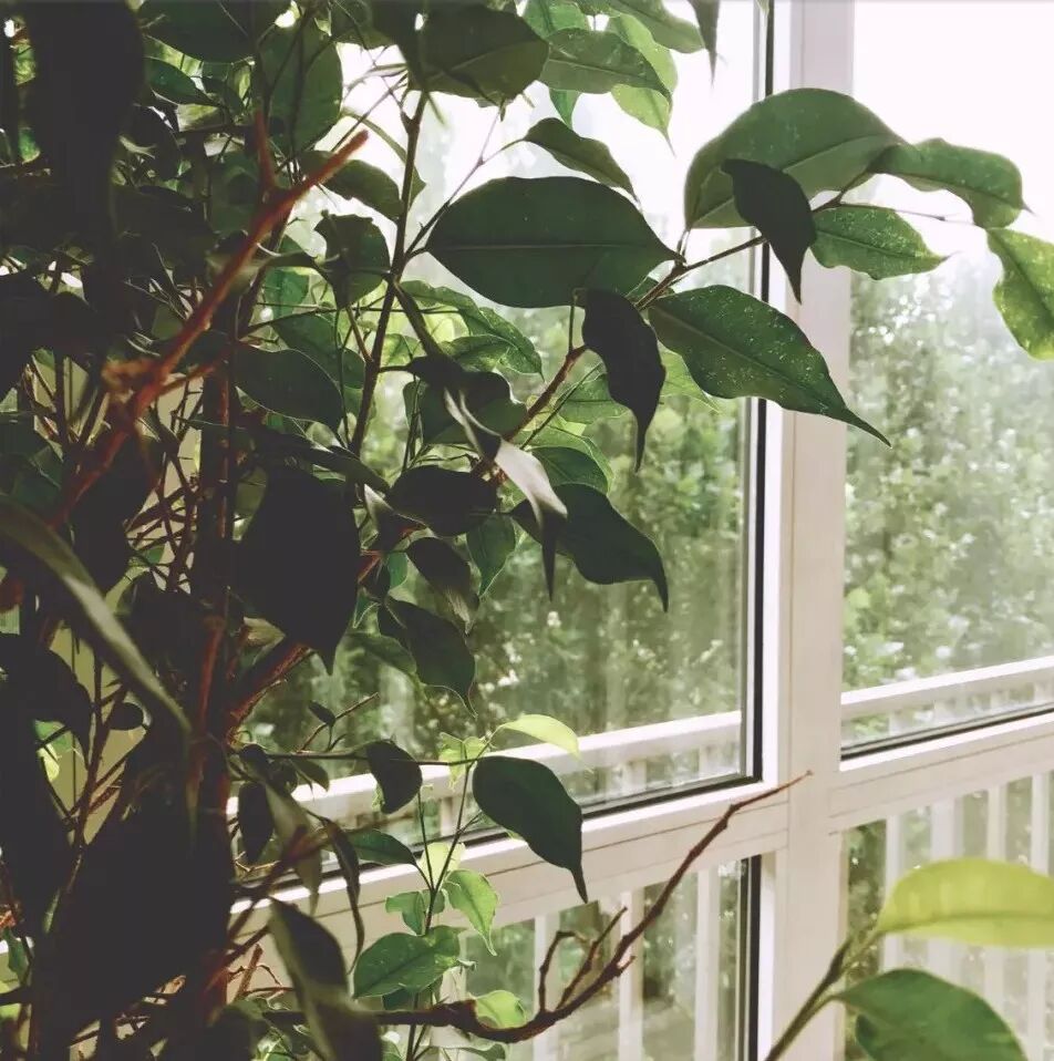 装修大宅，租住小屋，如何制定买买买计划？