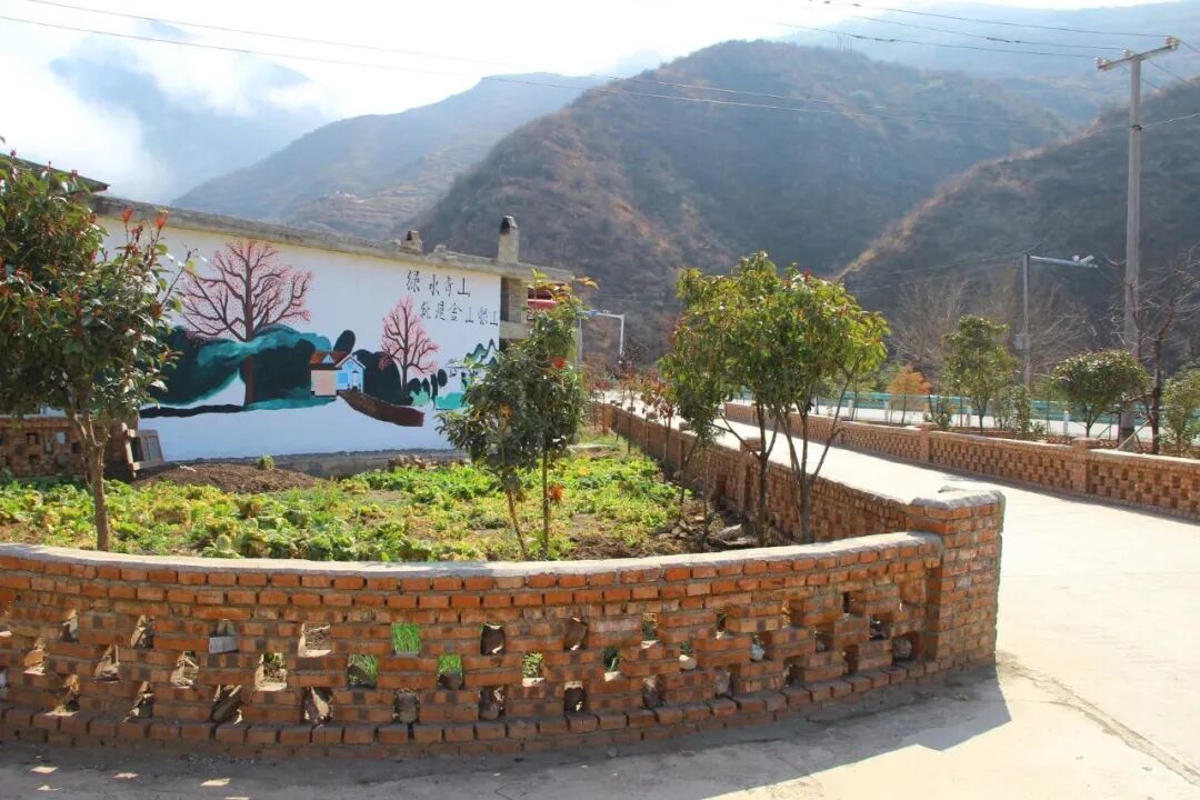 威宁县黑土河镇:"特色田园"提振乡村振兴新动能