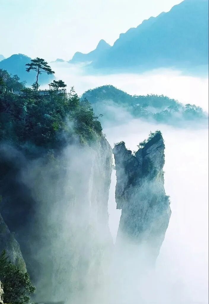 【茶话】为什么茶叶容易变质？