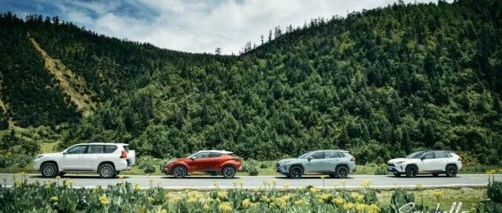 一品深一度 | 一汽丰田举办超长试驾，只为引起你我对生态环境的重视！