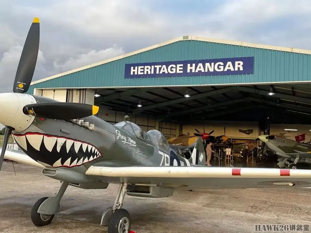 英国“喷火”战斗机传奇一生 打满二战全场 中东战场上演自相残杀的图4