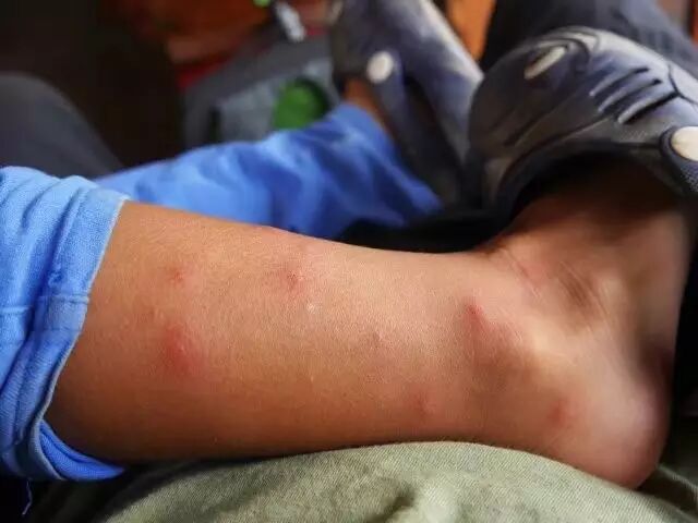 2岁北极看熊4岁南极看企鹅这对中国家长用160天让孩子亲身感受