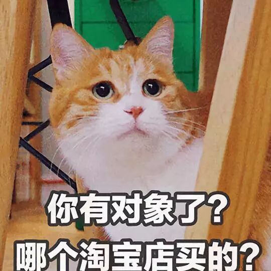 承揽你饮食起居的淘宝网，也想承揽你的情爱(图2)