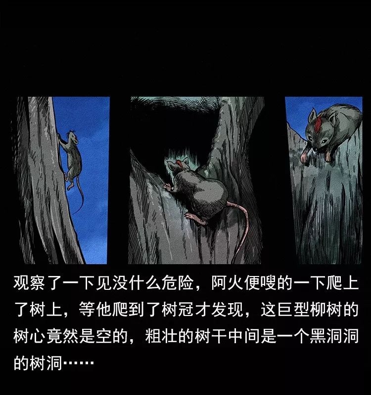 恐怖漫畫：仙山傳奇之吸人陰氣的樹妖 靈異 第29張