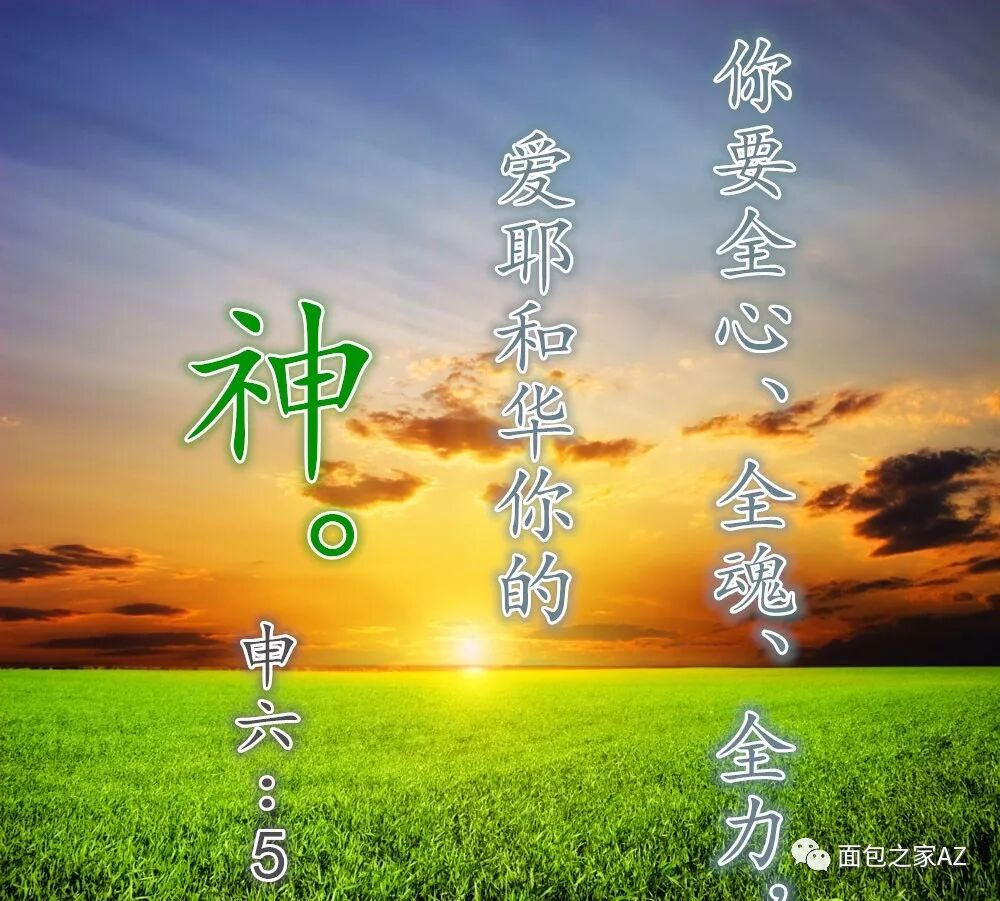 第十三讲：申命记（一）背景与对基督的揭示(图2)