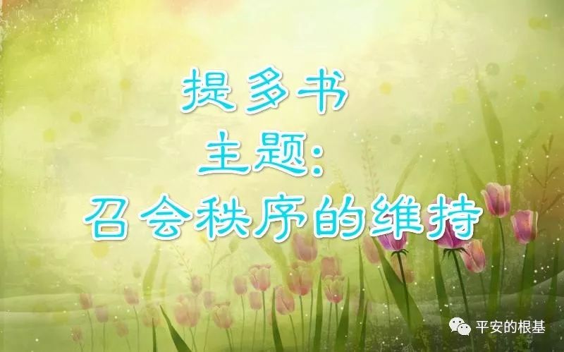 【新约圣经鸟瞰】第六十五讲：提多书