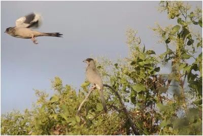 第二讲：马太福音【二】诸天之国(图5)