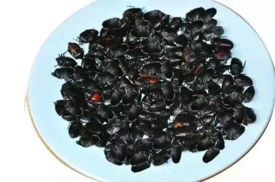 油炸臭屁虫