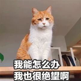 雅思写作词汇不想“烂大街”?35组常用替换同义词帮你抓住考官眼球