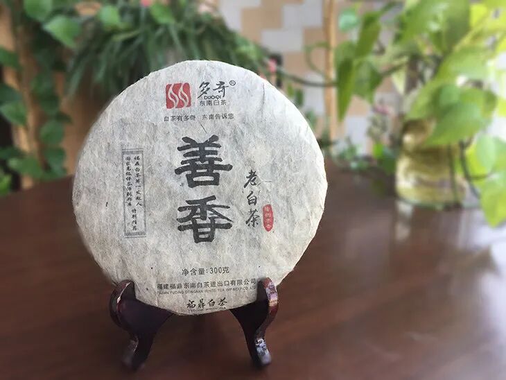 家庭存茶不注意这些细节，可能会毁了你的好茶！