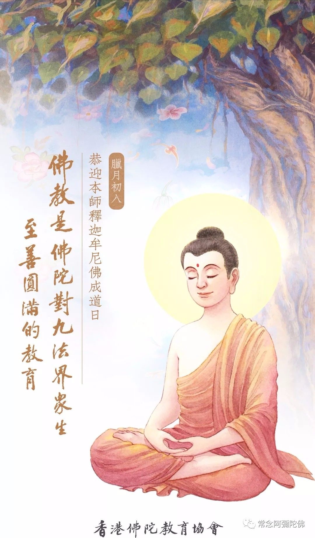 释迦牟尼佛成道日 愿人人都能看到您为我们介绍的极乐世界 殊胜庄严 自由微信 Freewechat