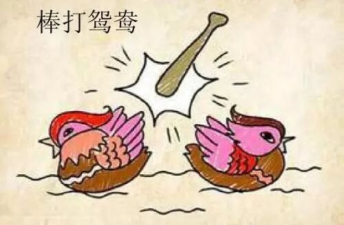 公务员居然不能和同事谈恋爱？