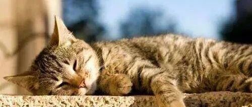 晒太阳能补充维生素D，如何晒？晒多久？