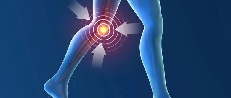 半月板到底是个啥？半月板损伤能自己长好吗？