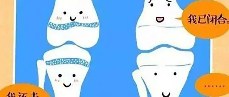 眼瞅就成年了，我的“海拔”还有戏再增加一点吗？