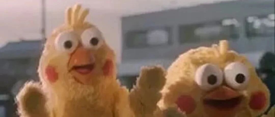 “双十一”什么值得买？