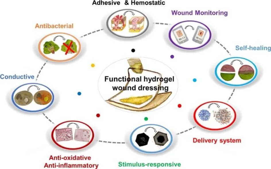 水凝胶伤口敷料怎么用伤口愈合，水凝胶来帮你_https://www.jmylbn.com_新闻资讯_第12张