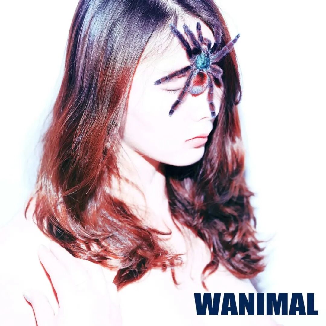 抖音超火的甲乙丙我姓丁到底是怎么一回事？