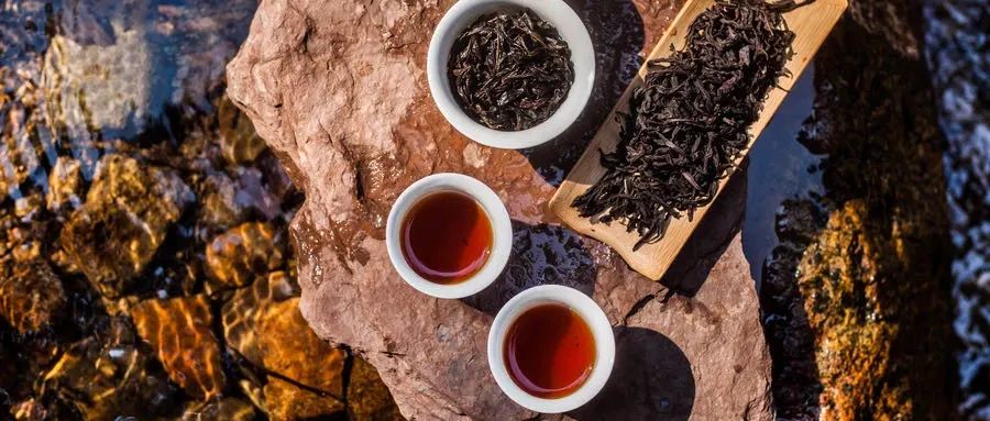 长寿老人谈如何喝茶，快检查你喝对没有！