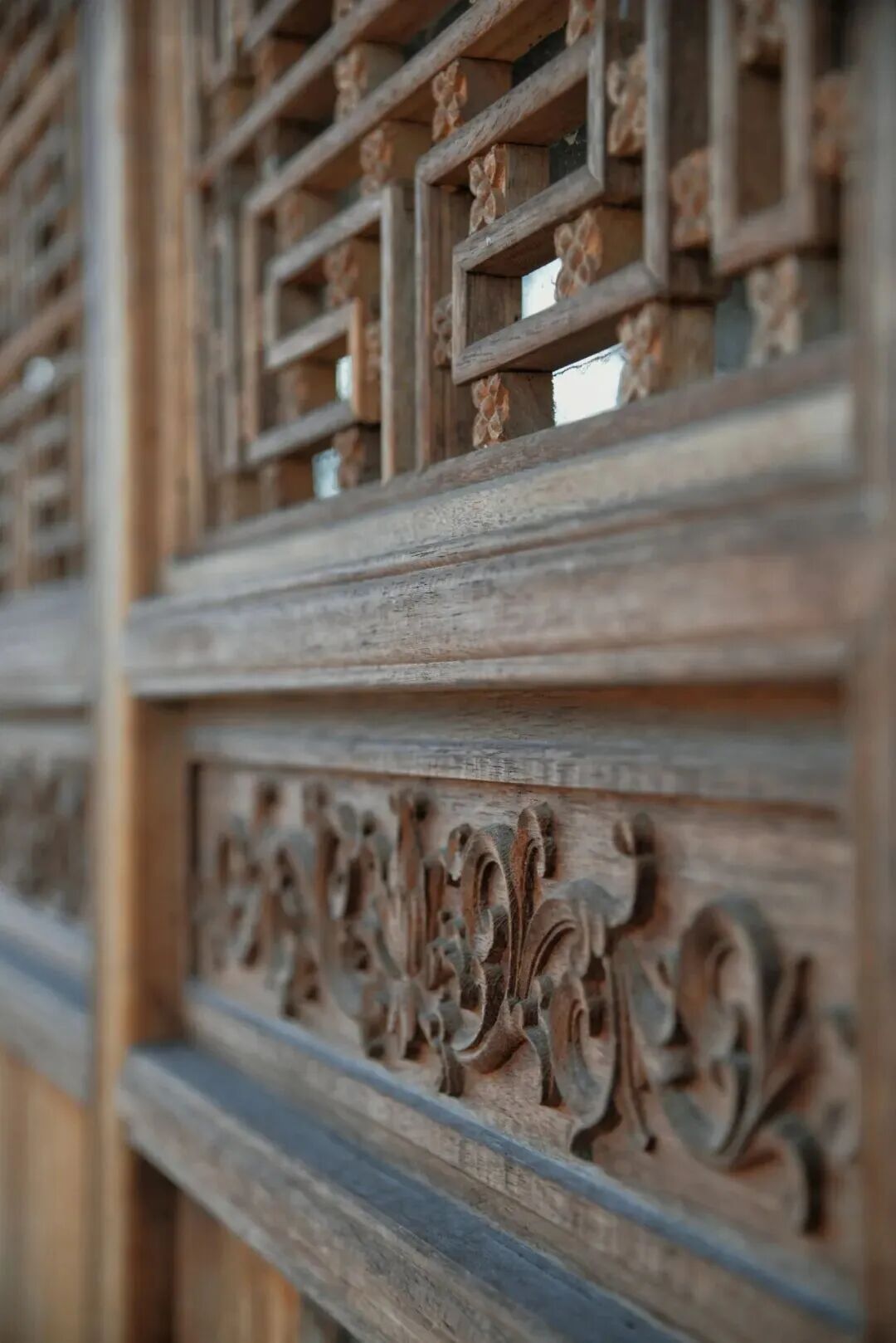 古街莲韵沐清风