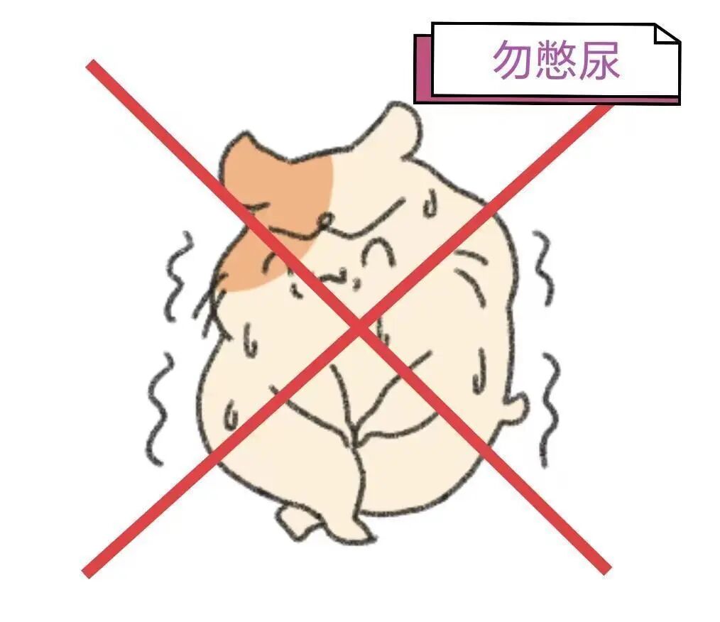 猪尾巴导管怎么拔出身体里面的“猪尾巴”导管_https://www.jmylbn.com_新闻资讯_第6张