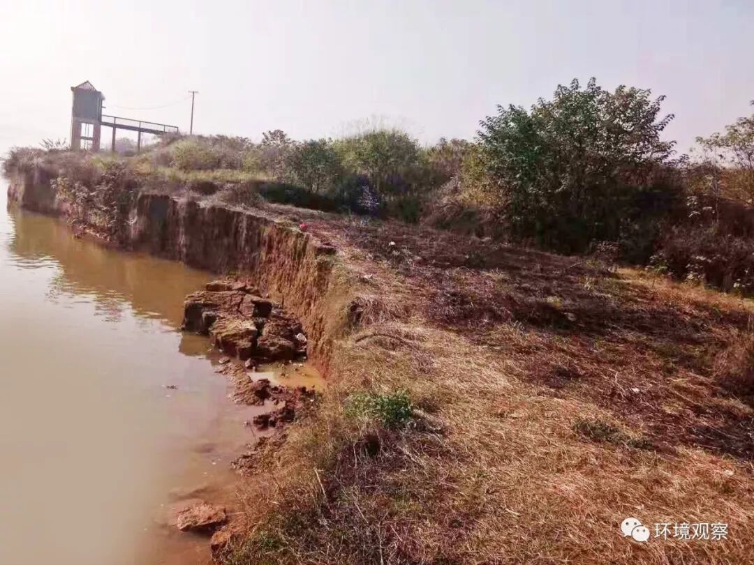 快来看（乒乓球反手快点技术）反手发力技巧，(图1)