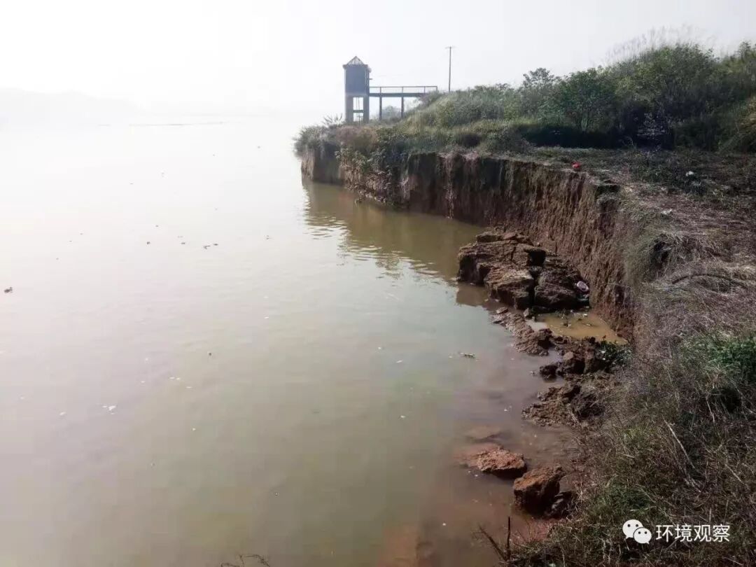 快来看（乒乓球反手快点技术）反手发力技巧，(图2)