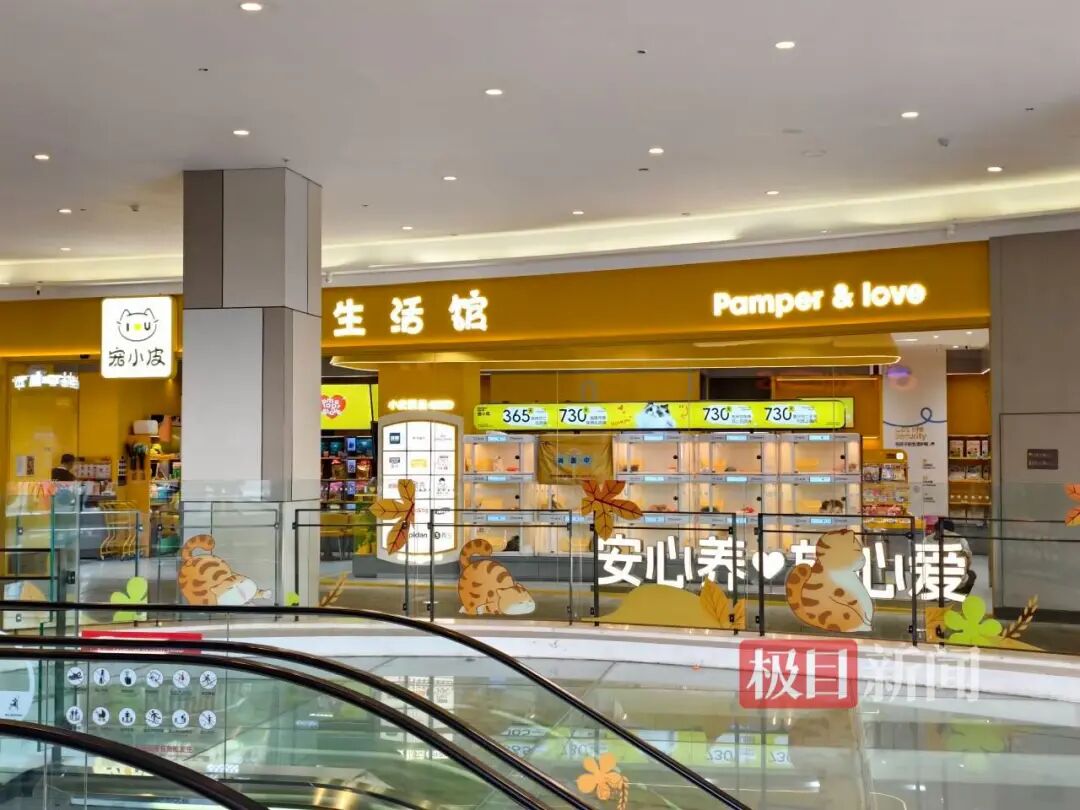 宠小皮线下门店（极目新闻记者拍摄）
