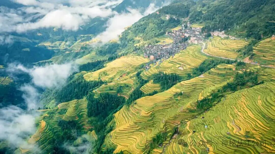 三大景区金秋推介圆满落幕，岜沙苗寨千年文化惊艳全场