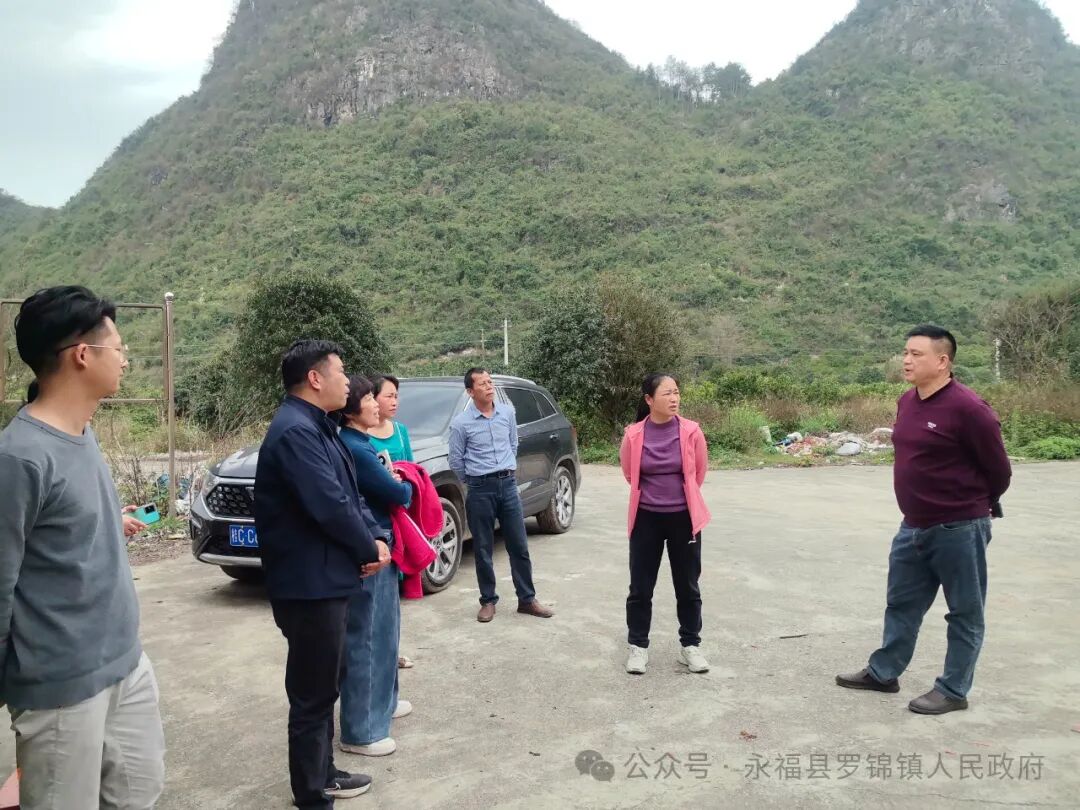 永福县副县长莫正云深入罗锦镇调研农业产业发展