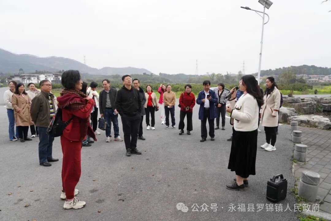 桂林市人大赴永福县罗锦镇调研乡村振兴工作