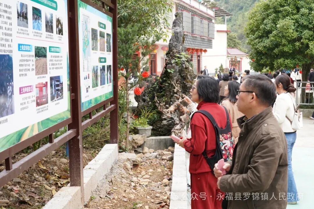 桂林市人大赴永福县罗锦镇调研乡村振兴工作