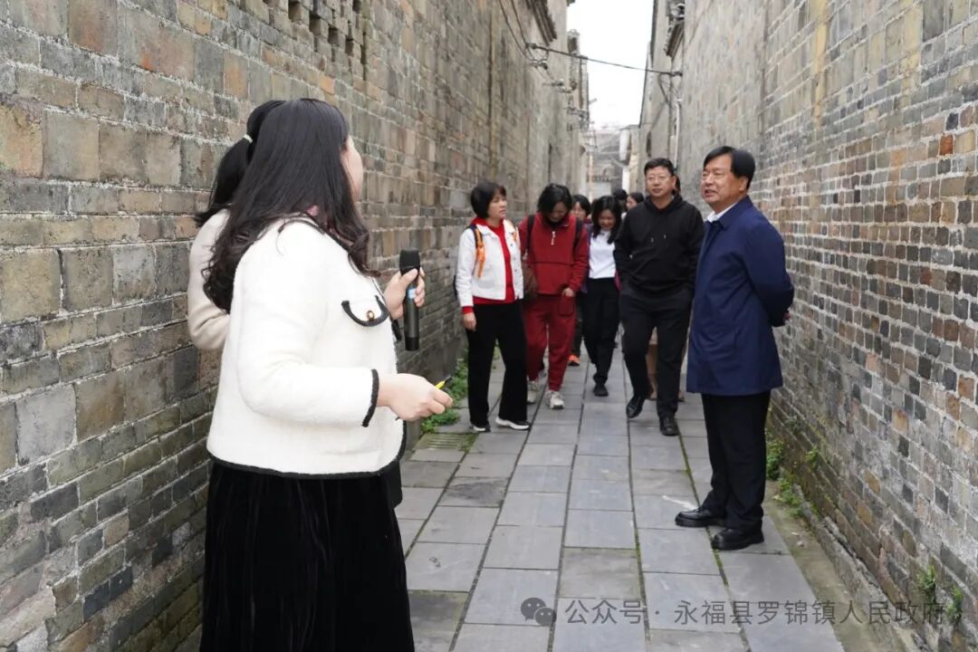 桂林市人大赴永福县罗锦镇调研乡村振兴工作