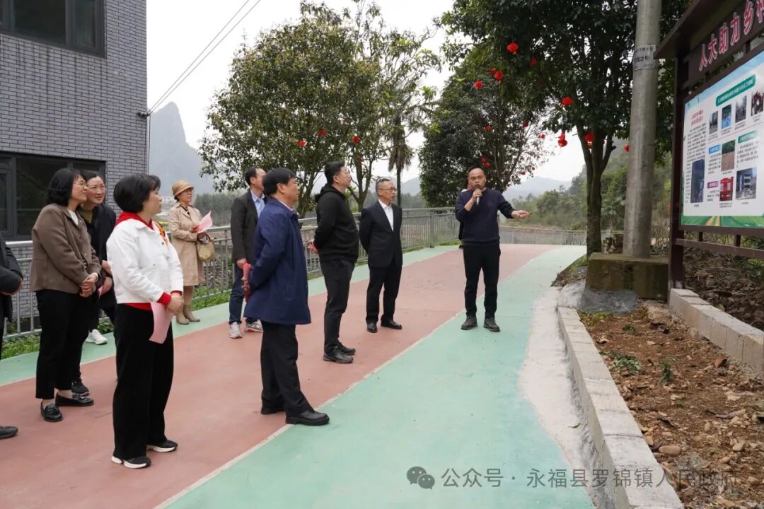 桂林市人大赴永福县罗锦镇调研乡村振兴工作