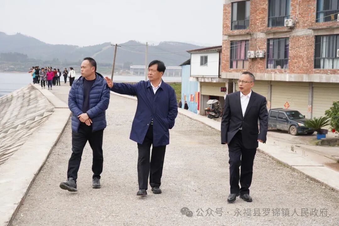 桂林市人大赴永福县罗锦镇调研乡村振兴工作