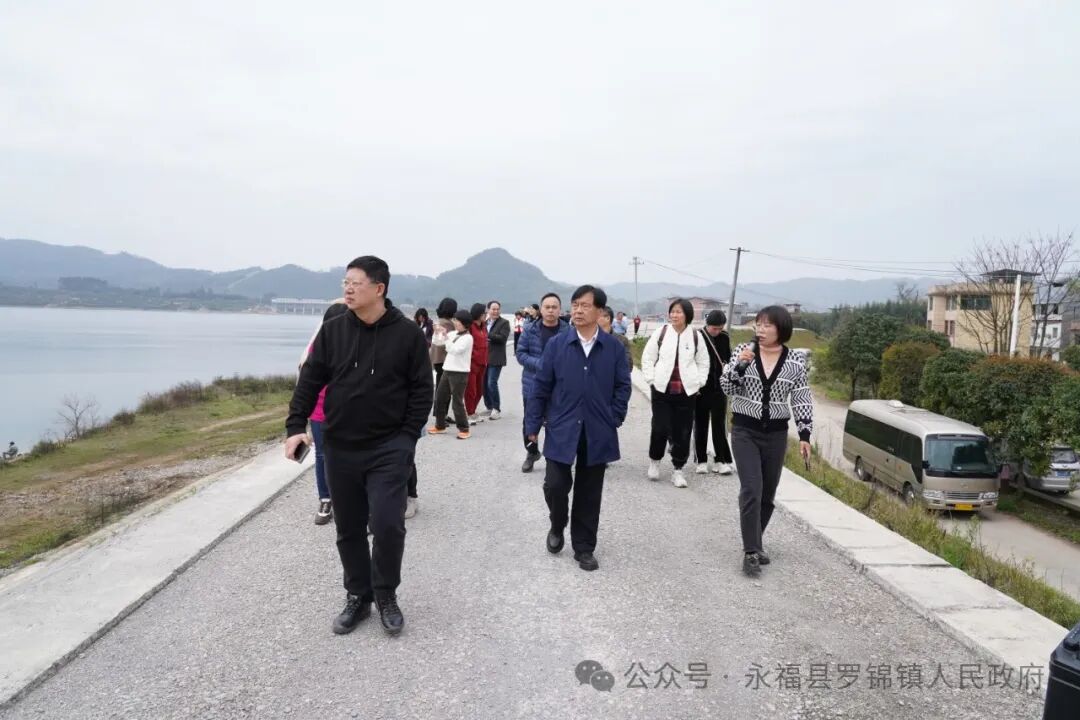 桂林市人大赴永福县罗锦镇调研乡村振兴工作
