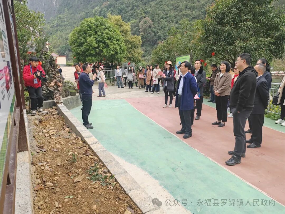 桂林市人大赴永福县罗锦镇调研乡村振兴工作