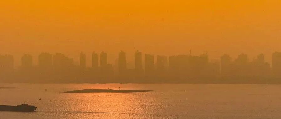 中国出了个“蚂蚁商帮”