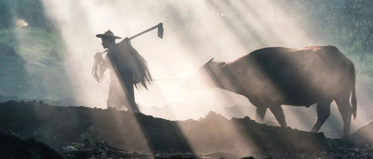 60年一遇，辛丑年极简史