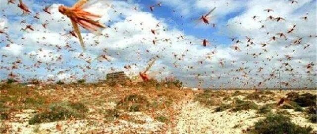 气候紊乱，动荡中国300年