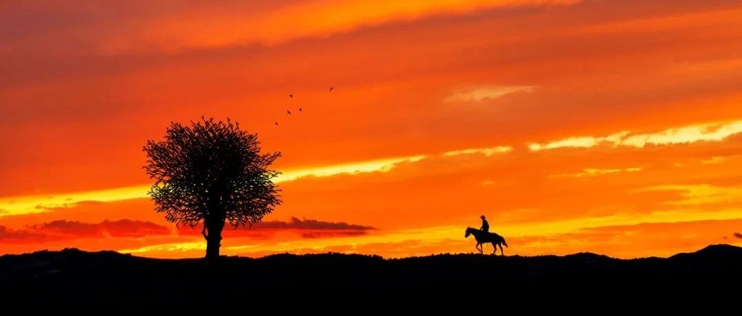 一个平平无奇又自带传奇的词人