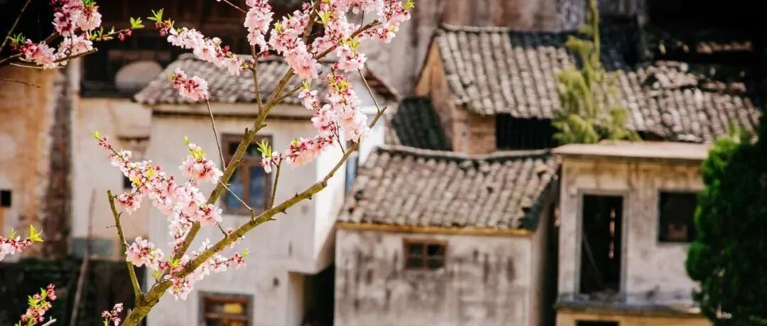 20首宋词里的春天