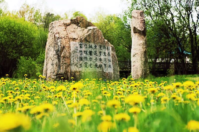微信图片_20260410105344_850_2.jpg